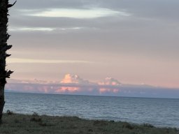 262-17-01-2026 IMG_3473